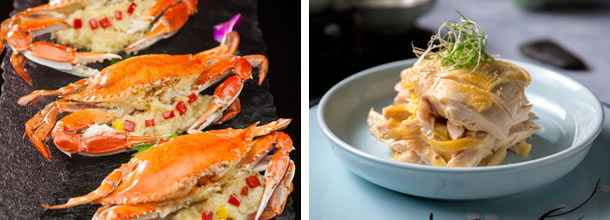 宁夏新东方烹饪精英专业