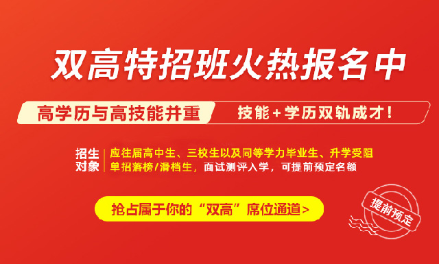 双高计划